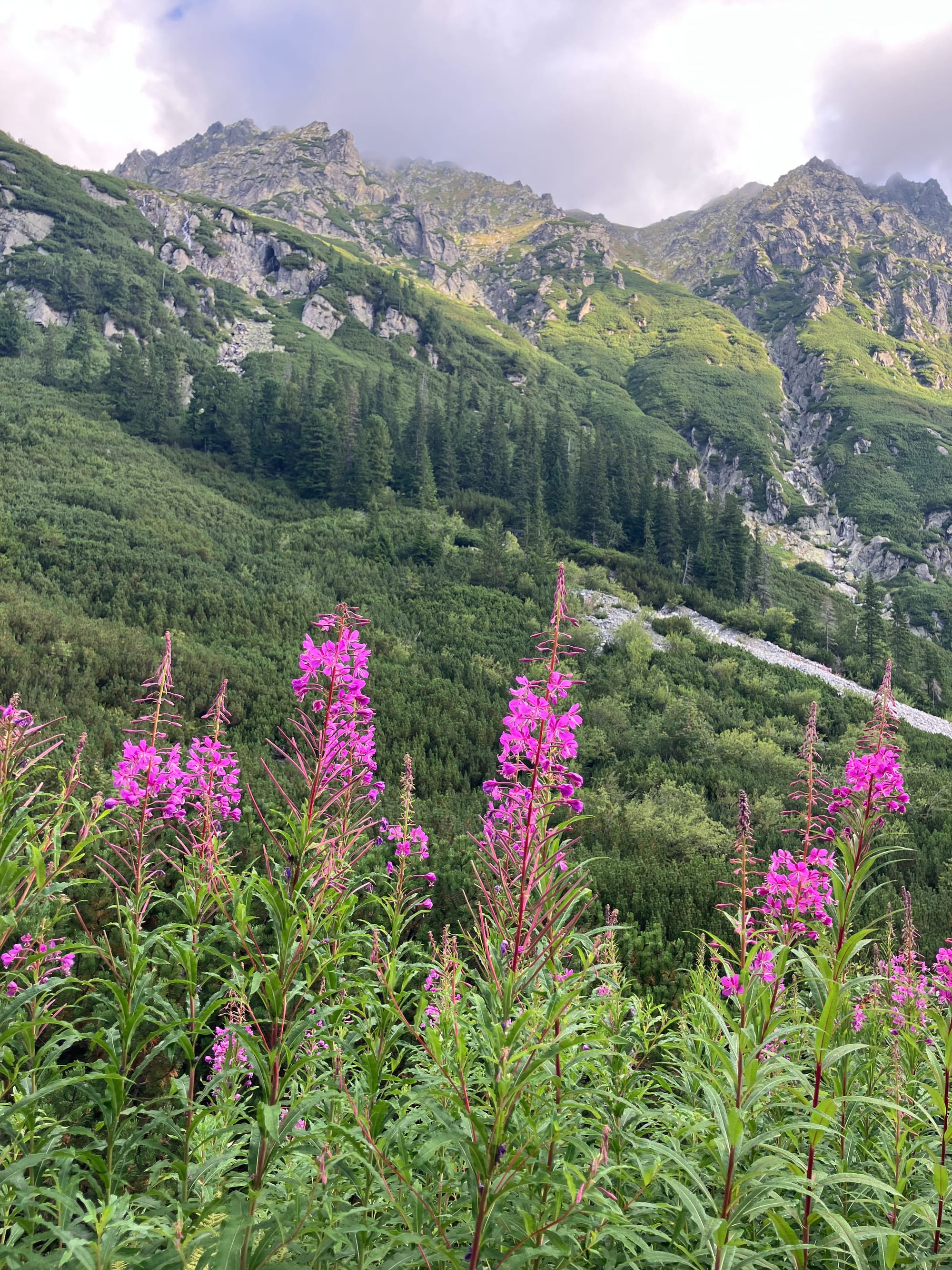 Week 45-53 | Summary - Rest, Learn, Refocus