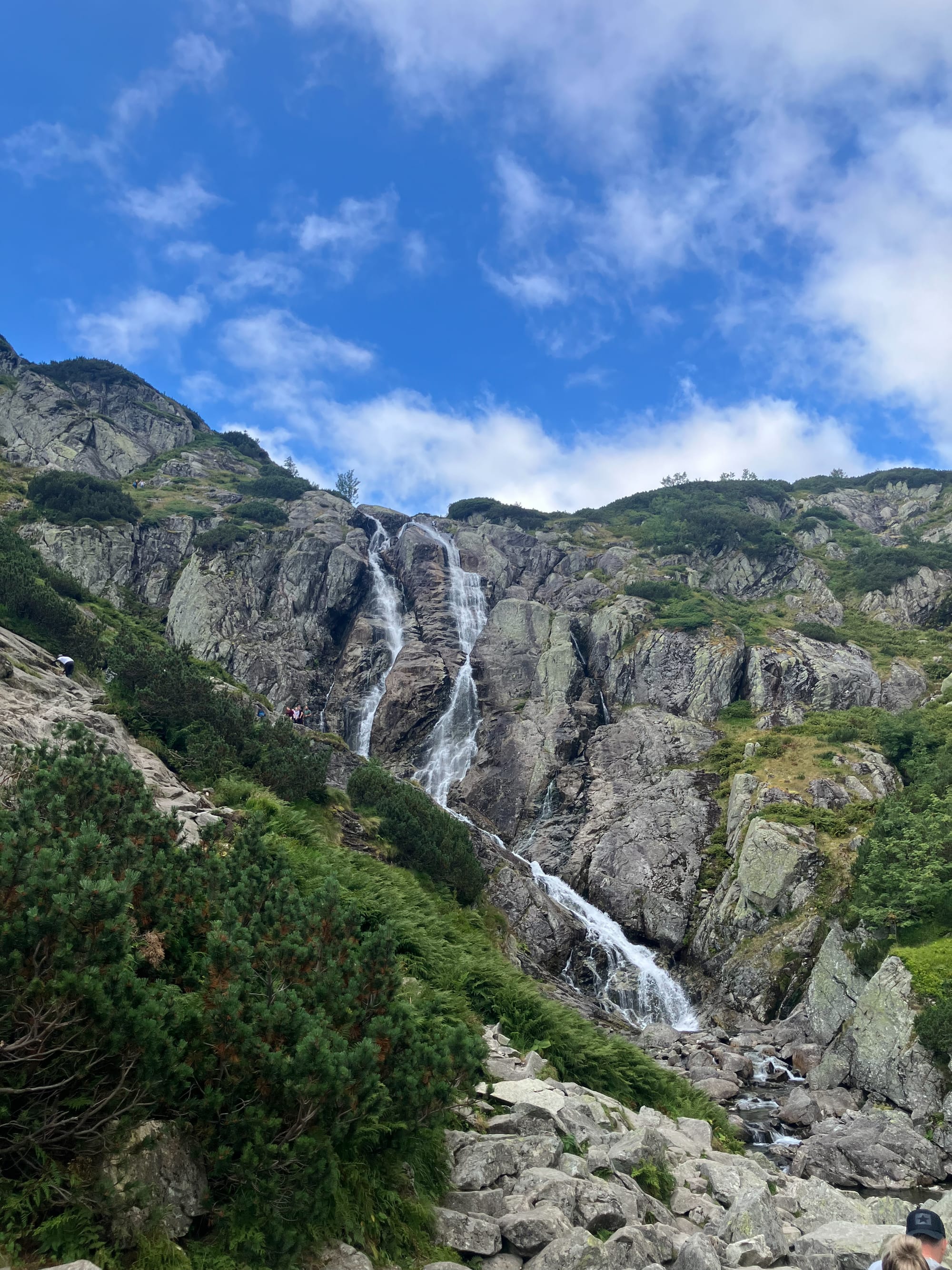 Week 45-53 | Summary - Rest, Learn, Refocus